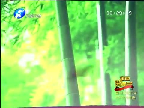 金色梦舞台 《金色梦舞台》 20131102