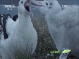 人与自然 《人与自然》 20151018 自然发现：冰冻星球——春季（下）