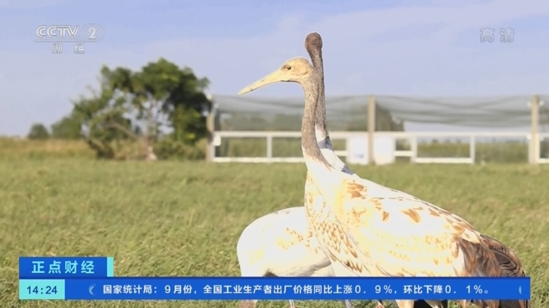 正点财经 《正点财经》 20221014 14:00