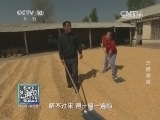 我爱发明 《我爱发明》 20140527 巧晒粮食