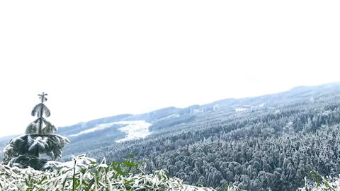 湖北新闻20210128