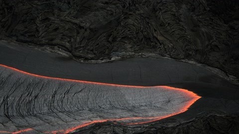 一席演讲 宋海军：生物大灭绝