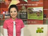 新闻袋袋裤 新闻袋袋裤 2009年 第277期