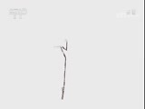 小小智慧树 《小小智慧树》 20180330