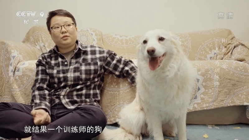 《Hi 新职业》 第四集 犬行为训练师