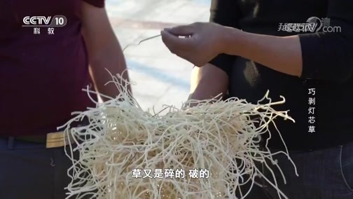 我爱发明 《我爱发明》 20190930 巧剥灯芯草