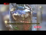 万万没想到 《万万没想到》 20151026 有没有不喝酒的人？