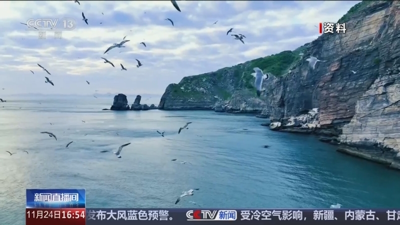 新闻直播间 《新闻直播间》 20251124 16:00