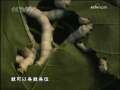 快乐体验 《快乐体验》——鹌鹑饲养员（二）
