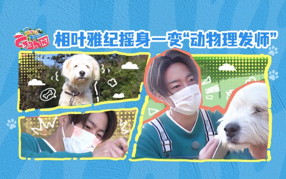 相叶雅纪化身“动物理发师”，快来瞅瞅