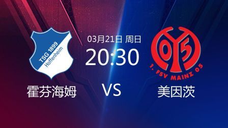 2020-2021德甲联赛第26轮 霍芬海姆VS美因茨