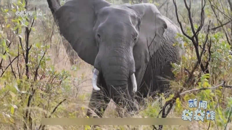 《新闻袋袋裤》 20251125