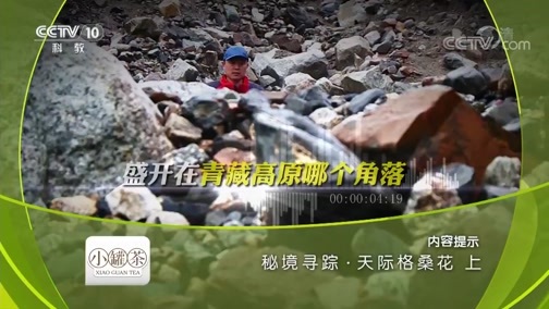 地理中国 《地理中国》 20181126 秘境寻踪·天际格桑花（上）