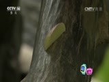 快乐体验 《快乐体验》 20160929