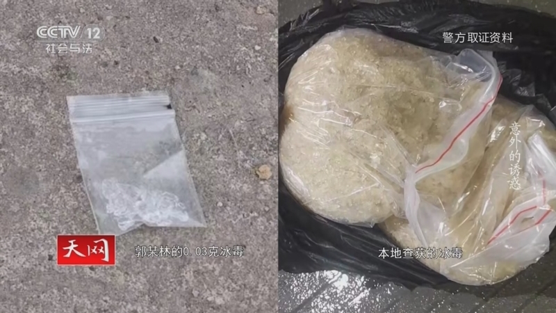 天网 《天网》 20230216 意外的诱惑