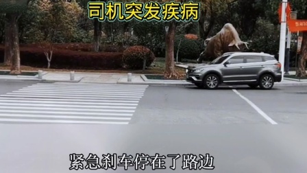 品人生百味第二季 暖心一幕：司机突发疾病狂按喇叭，好心小伙见状后将其送医