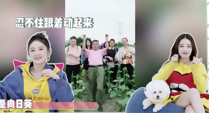 《西瓜拌饭》第5期