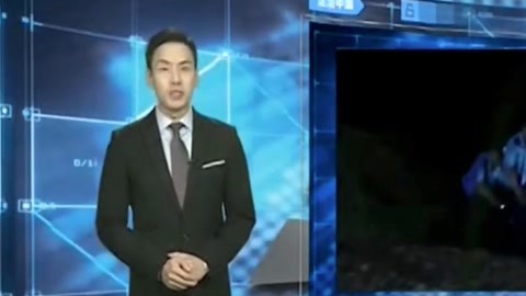 法治中国60分 法治中国60分之母亲重伤宝宝断奶 幸好遇到”交警妈妈“