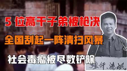 5位高干子弟被枪决，全国刮起清扫风暴，社会毒瘤被尽数铲除