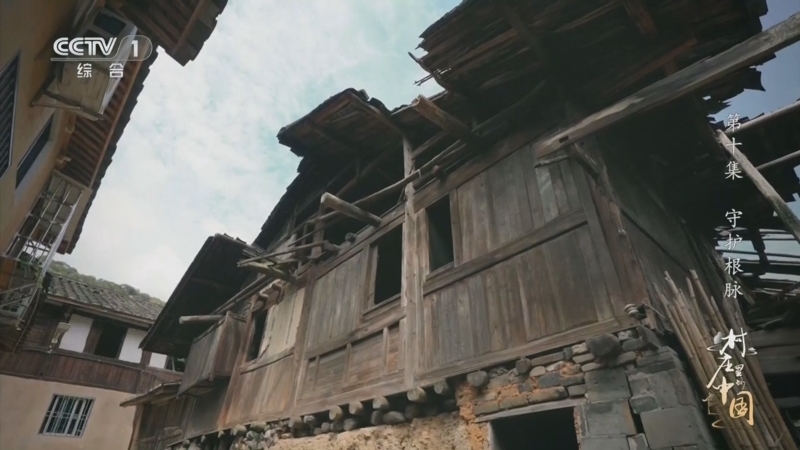 《村庄里的中国》 第10集 守护根脉