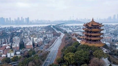 1818黄金眼 1818黄金眼20200613