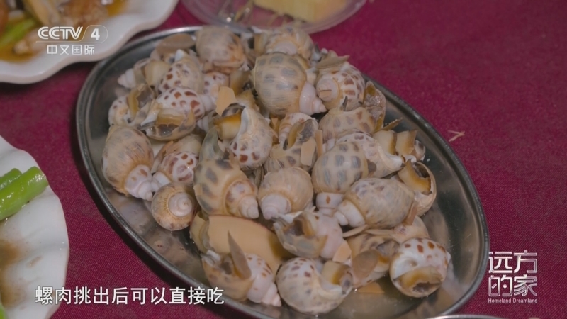 远方的家 《远方的家》 20241018 山河锦绣看中国 海天之间 多彩钦州