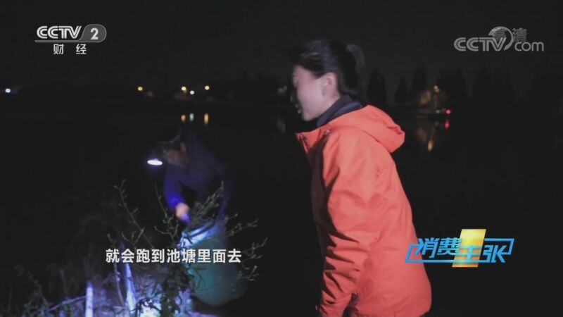 消费主张 《消费主张》 20201026 阳澄湖大闸蟹，今年行情怎么样？