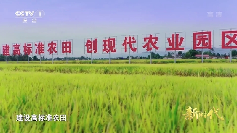 《新时代》 第3集 非凡成就