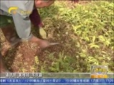 广西新闻 《广西新闻》 20160110