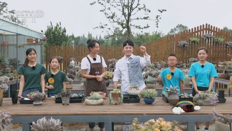 动感特区 《动感特区》 20250529 非常游学团 幸福诗篇——美丽乡村