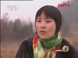 生财有道 《生财有道》 20120326 喝人参水的七彩山鸡