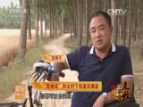 致富经 《致富经》 20150905 2015麦收故事会