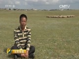 生财有道 《生财有道》 20151020 秋收系列：咱们家乡有特产——昭乌达肉羊