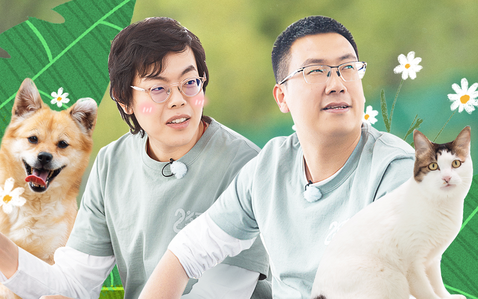 百分之二的爱2 力所能及的努力