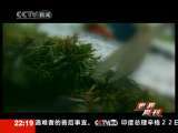 世界周刊 世界周刊 2010-05-23