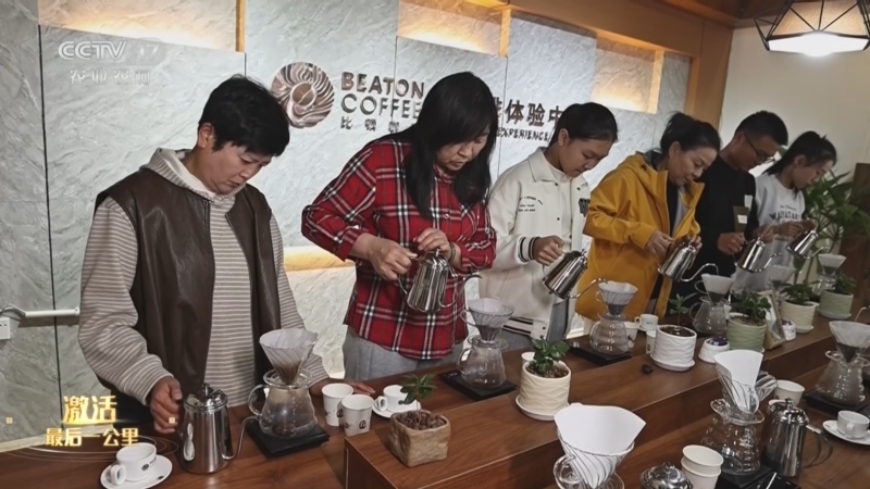 《激活最后一公里》 20260127 云南保山 金融物流助力 小粒咖啡产业升级