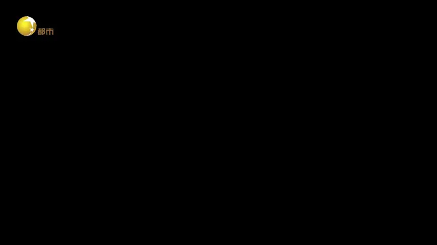 伟大的长征 《伟大的长征》第7集