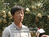 焦点访谈 《焦点访谈》 20160601 李保国：魂系太行