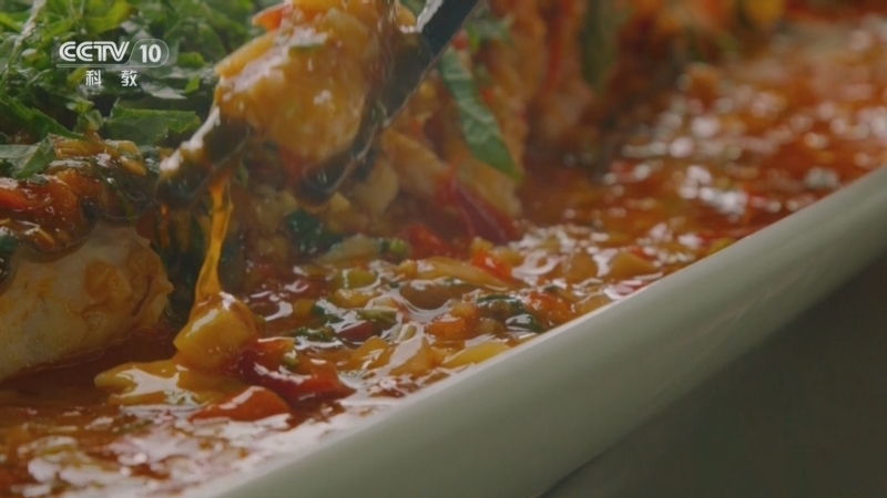 《探索·发现》 20260219 大地餐桌2026（8）