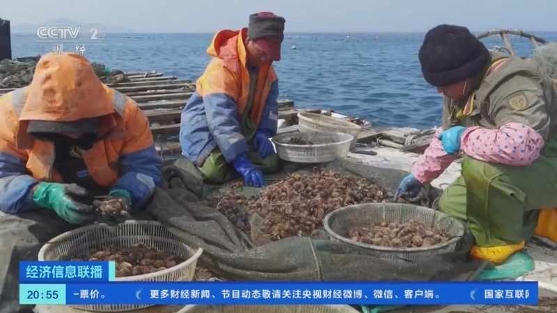 经济信息联播 《经济信息联播》 20220330