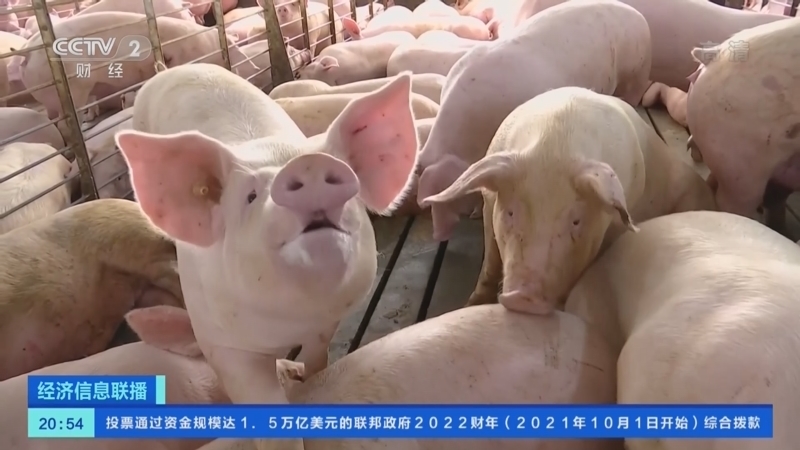 经济信息联播 《经济信息联播》 20220310