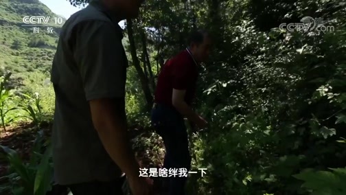 地理中国 《地理中国》 20190219 奇居胜境·探秘紫团山