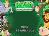 绿野寻踪 《绿野寻踪》 20170503