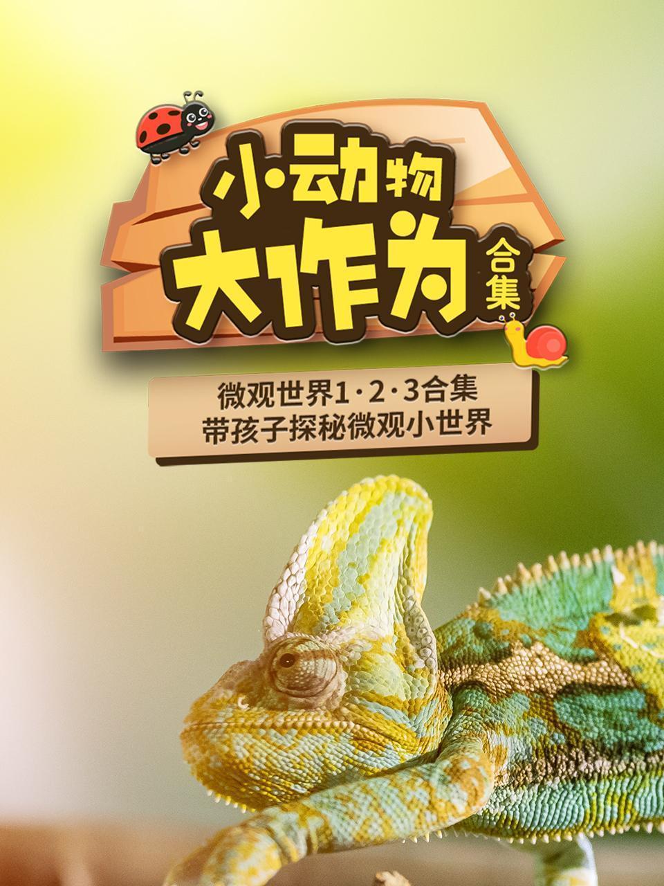 小动物大作为:微观世界1·2·3合集 小动物大作为:微观世界1·2·3合集