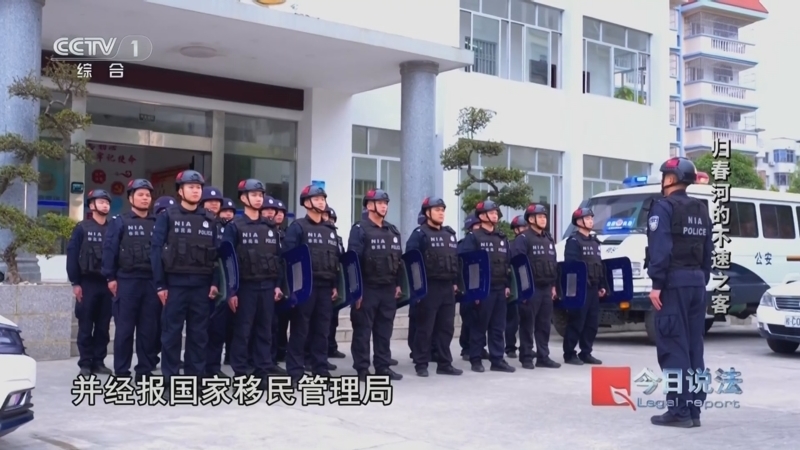 今日说法 《今日说法》 20241114 特别策划“边境一线报告” 归春河的不速之客