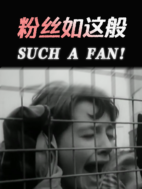 粉丝如这般 海报