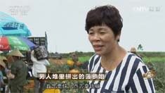 致富经 [致富经]男人堆里拼出的菠萝姐 20160725