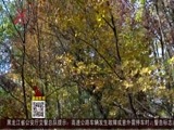 全省新闻联播 《全省新闻联播》 20161002