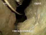 地理中国 《地理中国》 20160504 奇居之地·秘井奇观