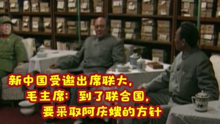 史记文学社第三季 新中国受邀出席联大，毛主席：到了联合国，要采取阿庆嫂的方针